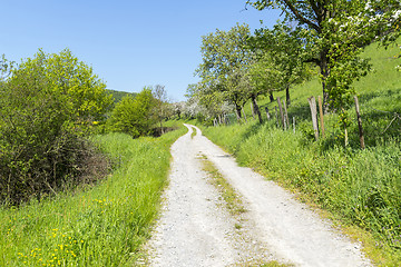 Image showing field path at spring time