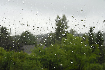 Image showing Rain on window