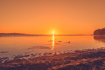 Image showing Lake sunrise with ducks