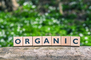 Image showing Organic sign in a green forest