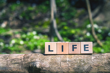 Image showing Nature lige sign in a forest