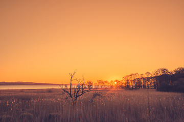 Image showing Sunrise over a lake