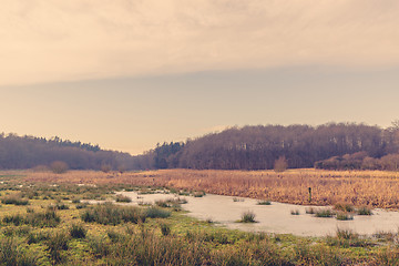 Image showing Flooded field with grass