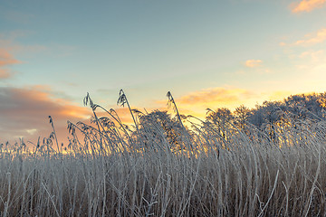 Image showing Sunrise on a cold morning