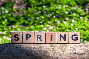 Image showing Wooden spring sign in a green forest