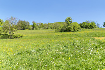 Image showing rural springtime scenery