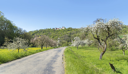 Image showing Langenburg in Hohenlohe