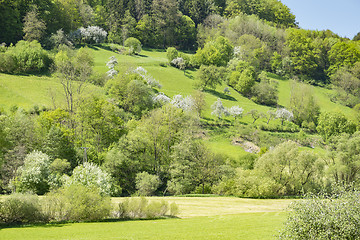 Image showing rural springtime scenery