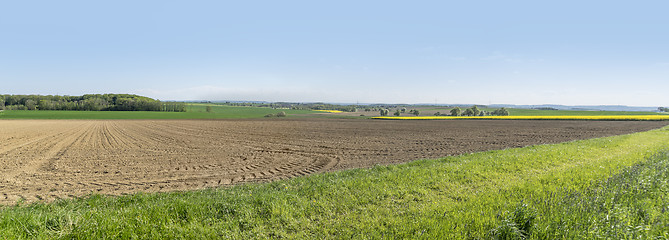 Image showing rural springtime scenery