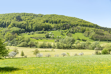 Image showing rural springtime scenery