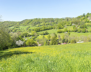 Image showing rural springtime scenery