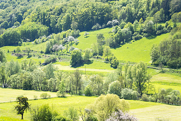 Image showing rural springtime scenery