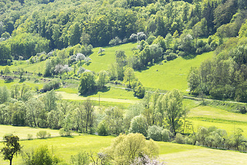 Image showing rural springtime scenery