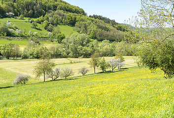 Image showing rural springtime scenery