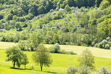 Image showing rural springtime scenery