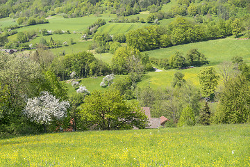 Image showing rural springtime scenery