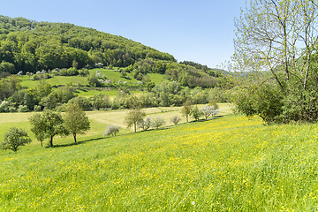 Image showing rural springtime scenery