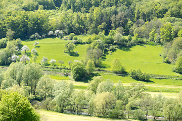 Image showing rural springtime scenery