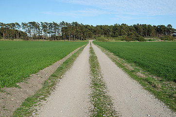 Image showing Gravel road in a green landscape