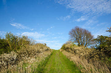 Image showing Green footpath upwards a hill