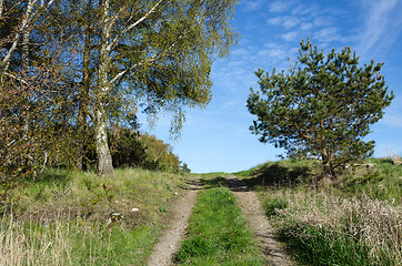 Image showing Tracks leads upwards a hill