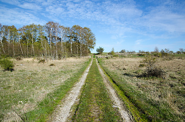 Image showing Sunlit rural tracks