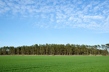 Image showing Green rural view