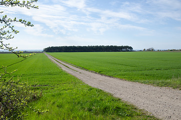 Image showing Gravel road by green fields