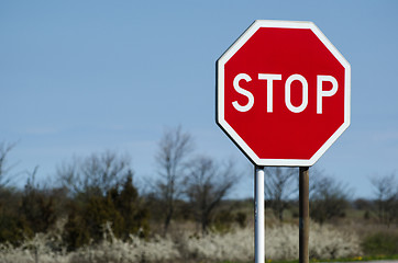 Image showing Stop roadsign with nature background