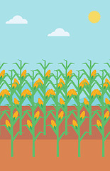 Image showing Background of corn field.