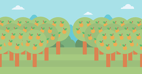 Image showing Background of orange trees.