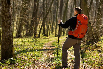 Image showing Male hiker looking to the side walking in forest