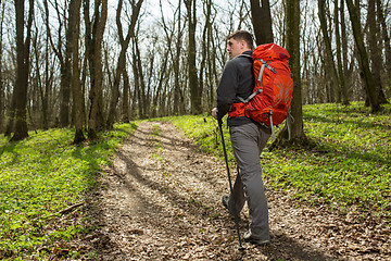 Image showing Male hiker looking to the side walking in forest