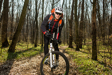 Image showing Rider in action at Freestyle Mountain Bike Session