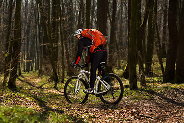 Image showing Rider in action at Freestyle Mountain Bike Session