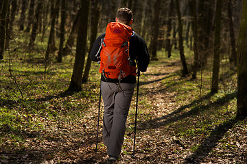 Image showing Male hiker looking to the side walking in forest