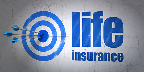 Image showing Insurance concept: target and Life Insurance on wall background