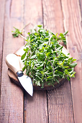 Image showing marjoram on a wooden rustic table