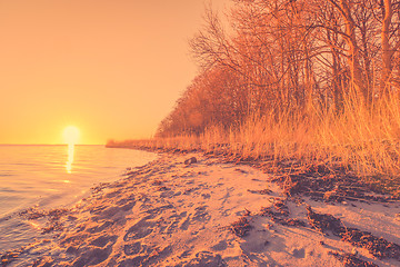 Image showing Beach with trees in the sunrise