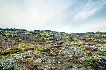 Image showing Lava field in Iceland with moss