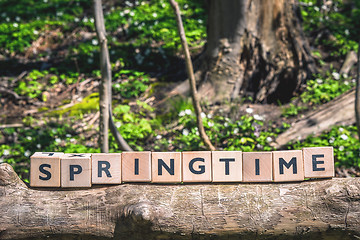 Image showing Springtime message in a forest