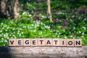 Image showing Vegetation sign in a green forest with plants