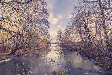 Image showing Ice on a river in the forest