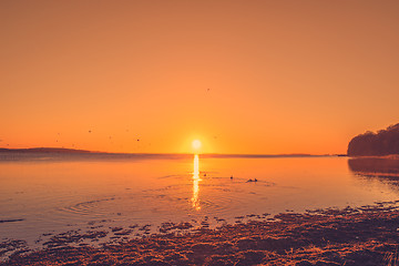 Image showing Sunrise by a lake with ducks