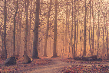 Image showing Sunrise in a misty forest with big rocks