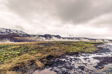 Image showing Steamy fields in iceland