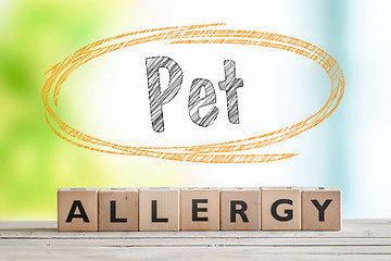 Image showing Pet allergy sign on a wooden desk