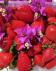 Image showing Spanish Strawberries