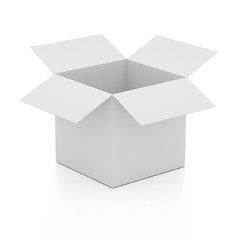 Image showing Blank open box