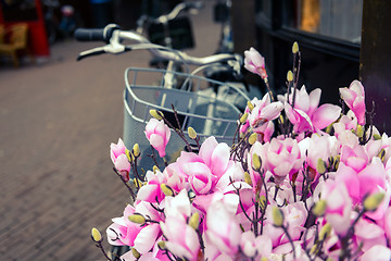 Image showing Bicycle and flowers